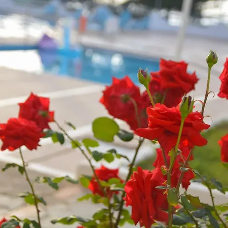Sunset Paradise Resort Ξενοδοχείο 4*